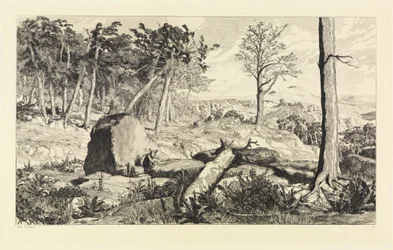 Simplicius na solidão da floresta (Intermezzi, opus IV, prancha 10)