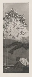 Anseios, 18781880.