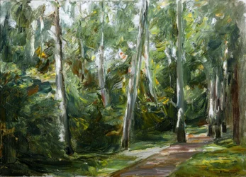 A avenida de bétula no Wannseegarten a sudoeste