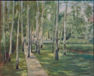 A alameda de bétulas no jardim de Wannsee para oeste