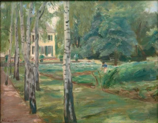 A avenida de bétula no Wannseegarten a oeste