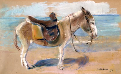 Burro na praia de Noordwijk, 1908.