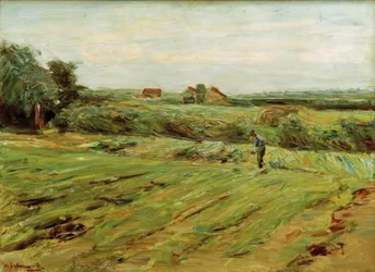 Campo de colheita - Kohlfeld 