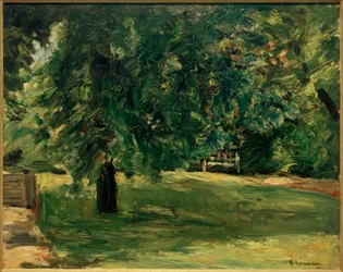 Banco de jardim sob o castanheiro no Wannseegarten