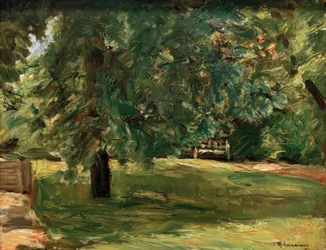 Banco de jardim sob o castanheiro no Wannseegarten