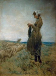 Menina do pastor holandês (pastora de tricô)