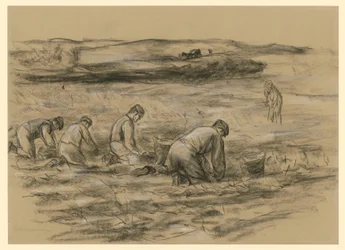Cavadores de batatas em Zandvoort