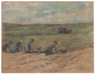 Escavadora de batatas em Zandvoort, 1894