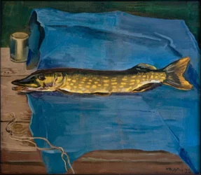 Um peixe