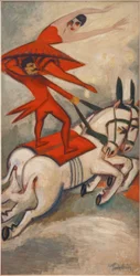cavaleiro de circo