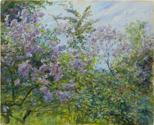 Lilás em flor