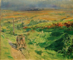 Paisagem palatina com vinha
