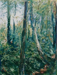 Caminho da floresta
