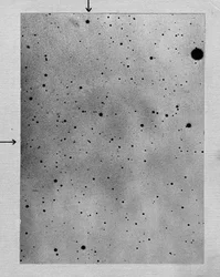 Longa exposição do campo estelar mostrando pista do asteróide Sappho contra pontos de estrelas, 1892