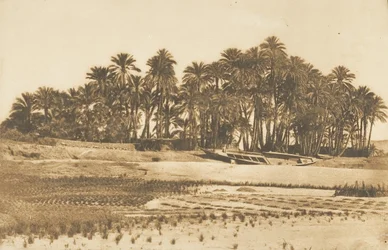 Vista da Ilha Elefantina, em frente a Aswan, 1849-50.