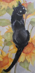 Gato preto entre girassóis