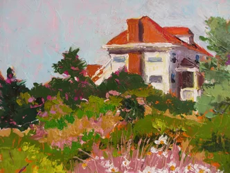 Casa de jardim colorida