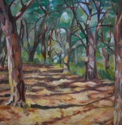 Caminho na floresta salpicado de luz