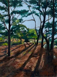 Caminho na floresta, sombras longas