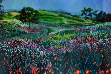 Prado de Flores Silvestres ao Crepúsculo