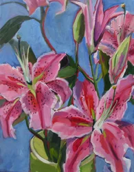 Lírios rosa vibrantes