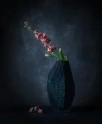 Elegância floral escura