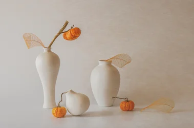 Elegante natureza-morta de outono