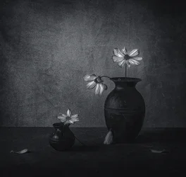 Natureza-morta floral desvanecida