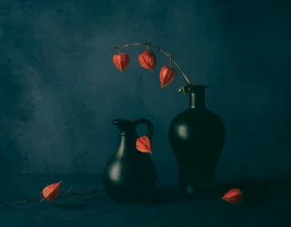 Physalis melancólicos