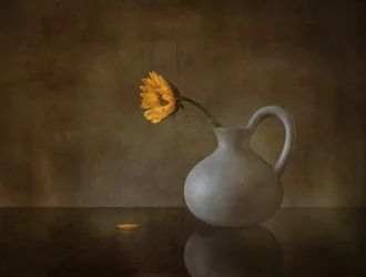 Flor amarela melancólica