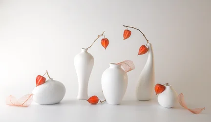 Natureza-morta com physalis laranja