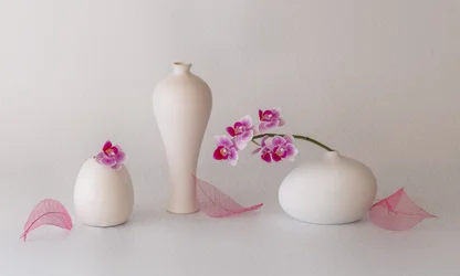 Natureza-morta com orquídeas cor-de-rosa