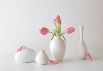 Túlipas cor-de-rosa em vasos