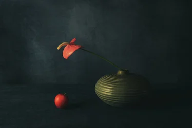 Natureza-morta com antúrio vermelho