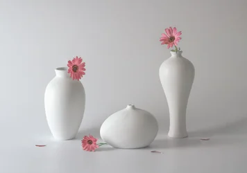 Jarras florais serenas