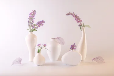 Jarras brancas e flores de lavanda