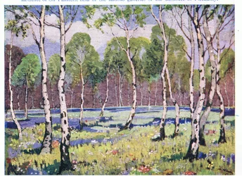 Spring Woodland (lito colorido)