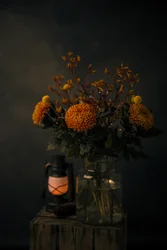 Brilho das flores de outono