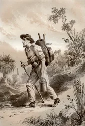Coveiro no vagabundo, Austrália, 1879.