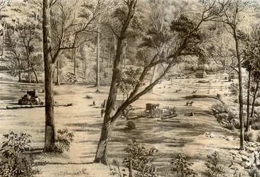 Cabana do seletor livre, Austrália, 1879