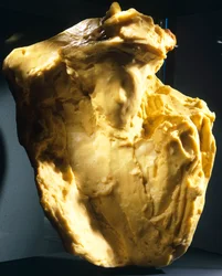 Bookmaker, de Medardo Rosso (1858-1928).