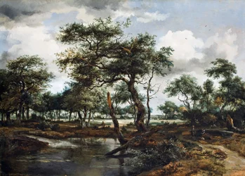 Uma lagoa na floresta, 1668 (óleo sobre painel de carvalho)