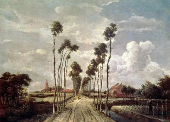 The Avenue at Middelharnis