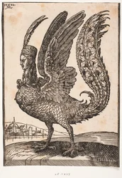 Animal mítico não identificado, harpia ou sirene