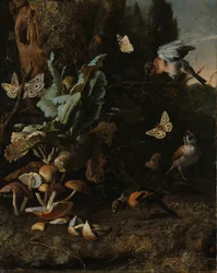 Animais e Plantas