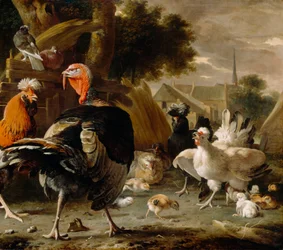 Pátio de aves de capoeira