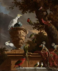 A Menagerie A Menagerie