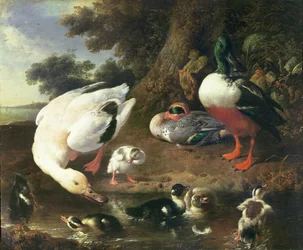 Patos de capoeira