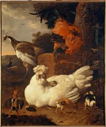 M. de Hondecoeter, bebê com filhotes