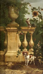 Pombos e um cão num jardim